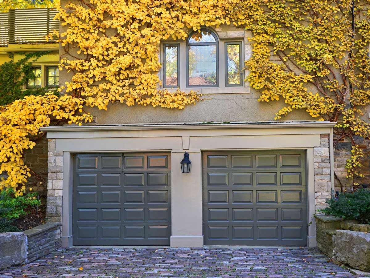 garage doors with vines and fall colors